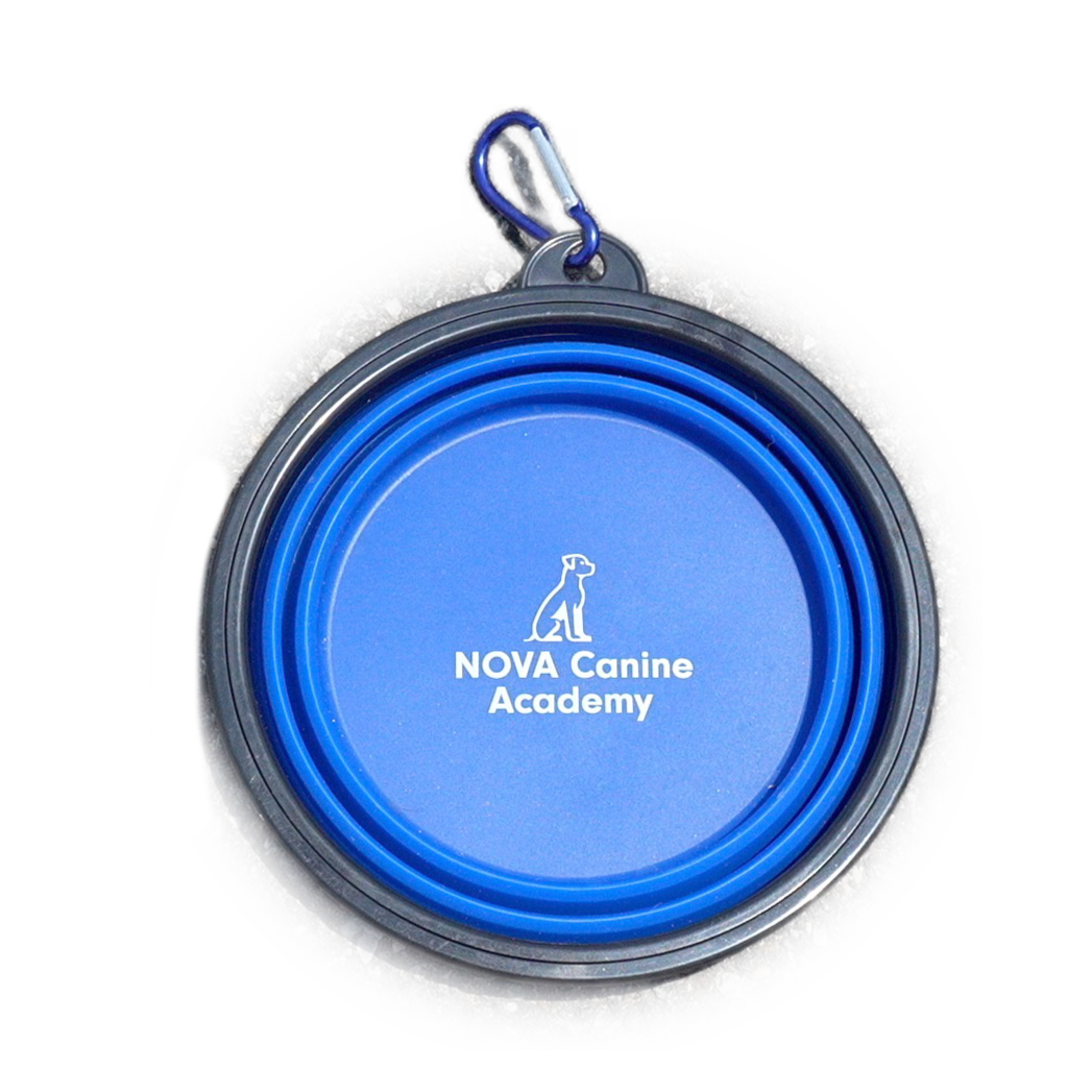 NCA Collapsible Dog Bowl