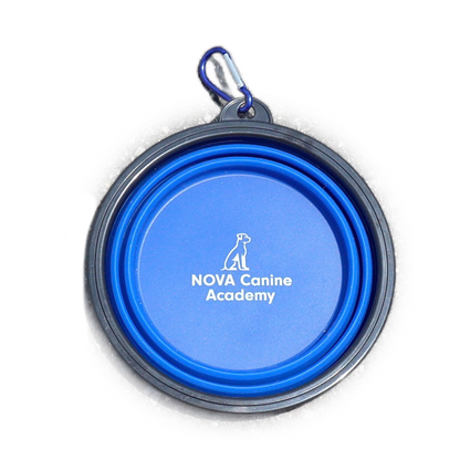 NCA Collapsible Dog Bowl