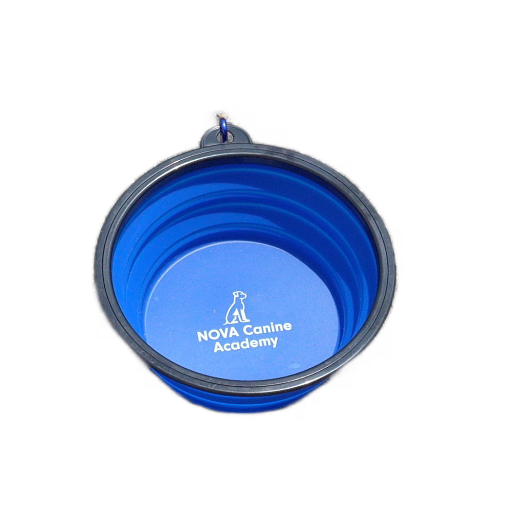 NCA Collapsible Dog Bowl